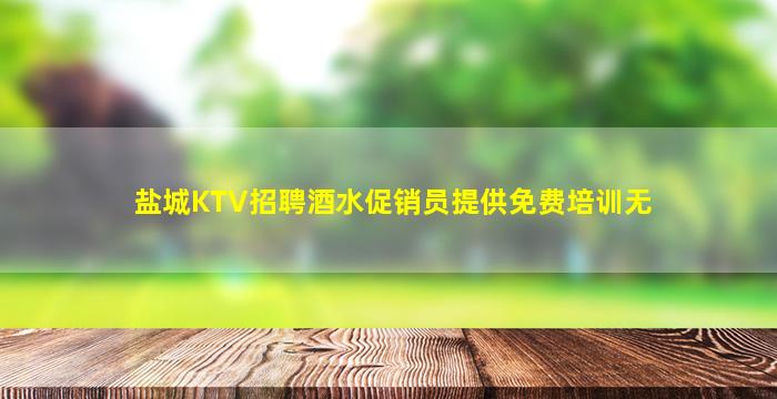 盐城KTV招聘酒水促销员提供免费培训无